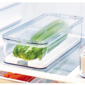 Lidded Fridge And Pantry Storage Container